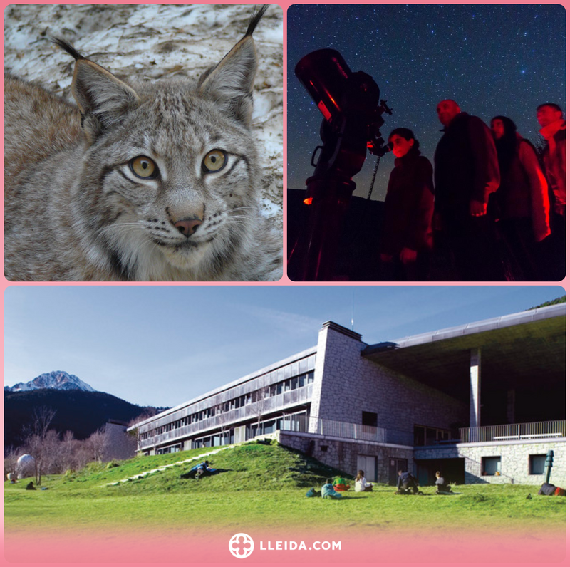 Sorteig Entrada Doble per a visitar la "Fauna dels Pirineus" a MónNatura Pirineus