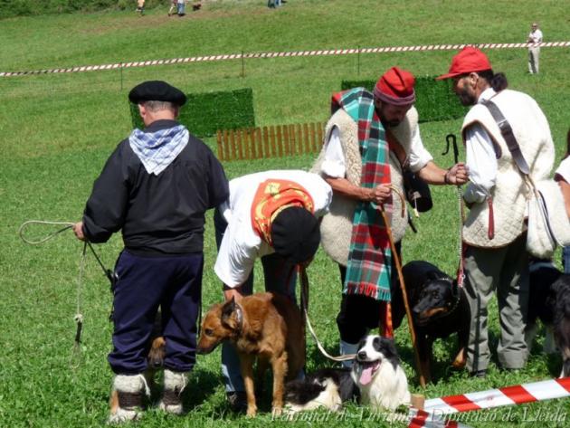 Concurs de Gossos d'Atura del Pallars