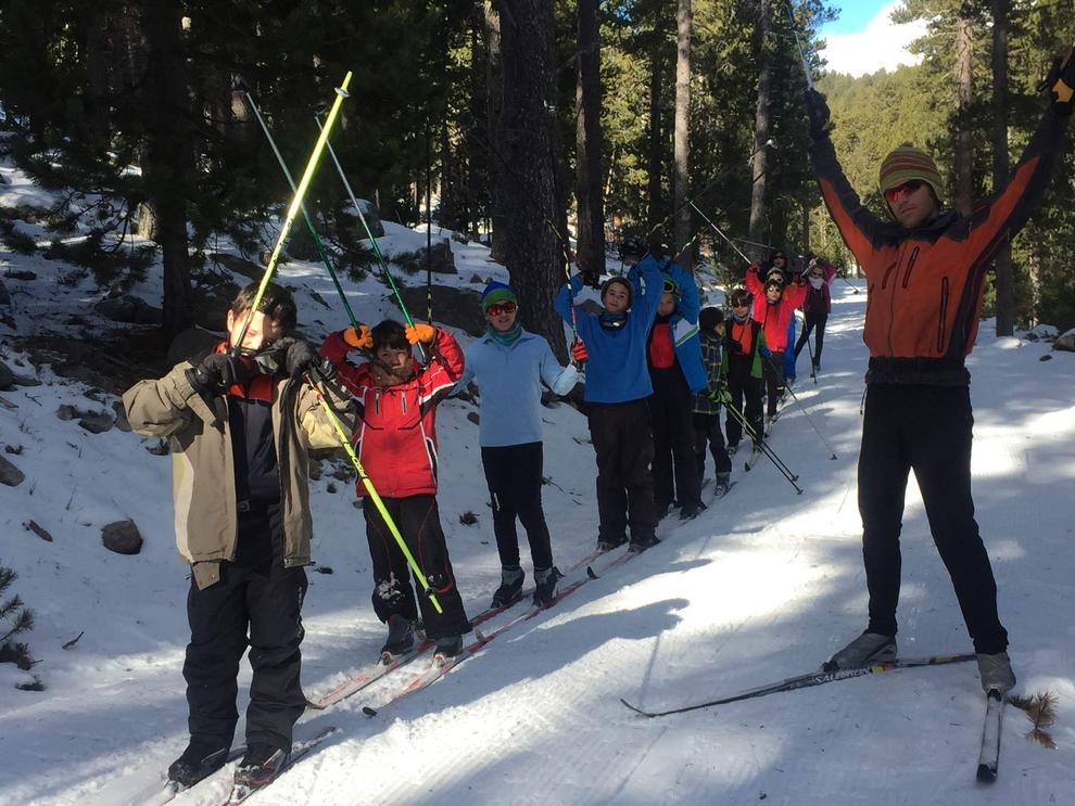 Лыжные уроки в школе. Школьники на лыжах. Урок физкультуры на лыжах. Лыжи в школе. Физкультура на лыжах в школе.
