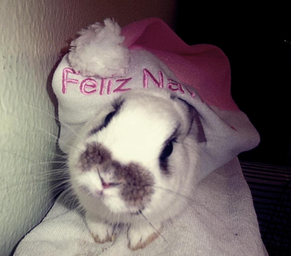 L'Andrea ens envia aquesta foto tan tendra de la seva mascota!