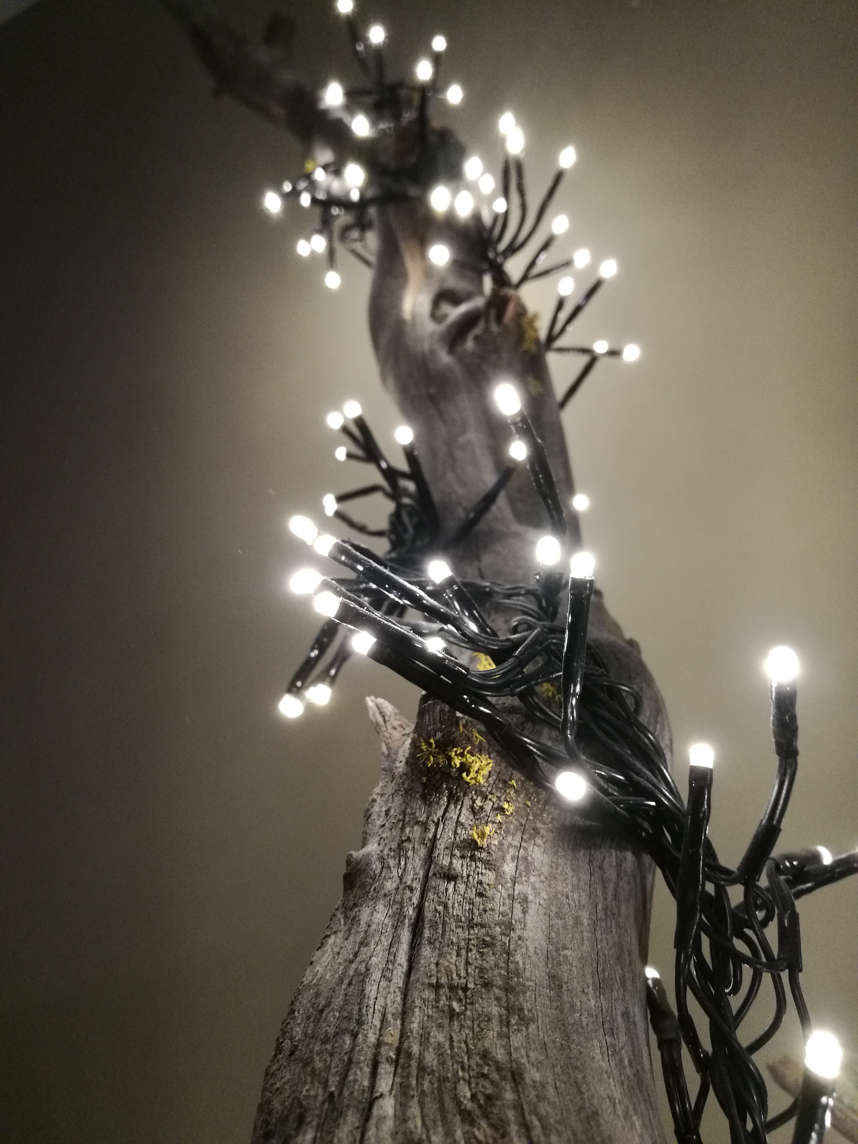 Llums de Nadal