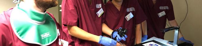 Presitigosos professionals de l’endoscòpia escullen el CREBA de l’IRBLleida per impartir un curs de resecció endoscòpica