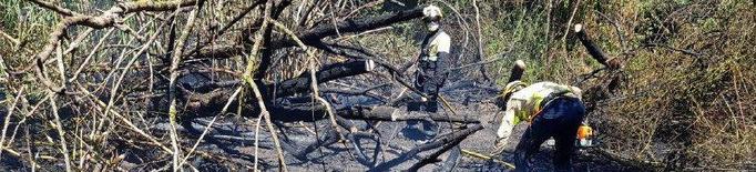 Un foc calcina 4,2 hectàrees entre Balaguer i la Sentiu de Sió