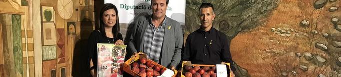 Alcarràs en Fruit obre el procés de recol·lecció de fruita al turisme