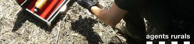 Rurals aixequen 3 actes a Preixana per caçar merles i utilitzar munició prohibida