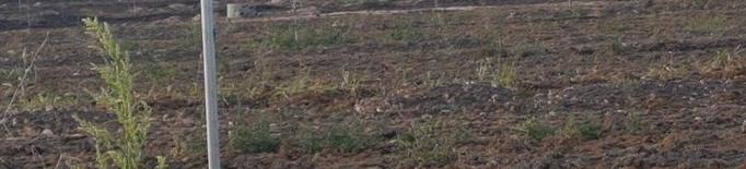 Queixes de veïns a Gimenells per pudor a l’aplicar compost en sòl agrícola