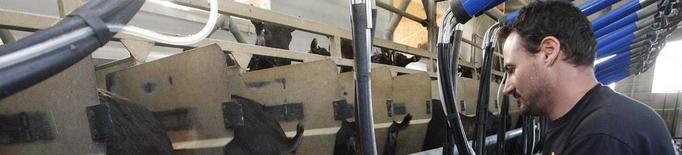 El sector de la llet de cabra impulsa un segell de qualitat