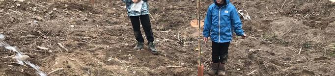 Voluntaris planten més de dos-cents arbres a l’aiguabarreig Segre-Cinca