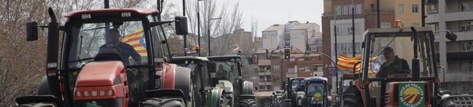 Els pagesos exigeixen a Madrid mesures urgents per a la subsistència del sector