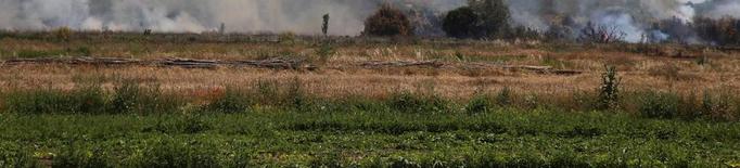 Un incendi calcina 16,4 hectàrees a l’Horta de Lleida