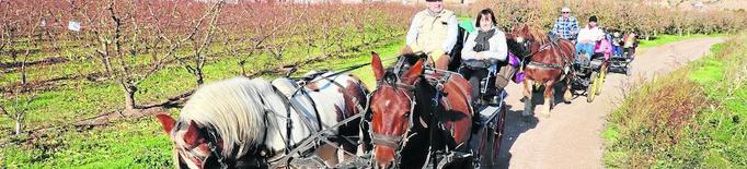 El paisatge tardoral d’Aitona atreu uns set-cents visitants