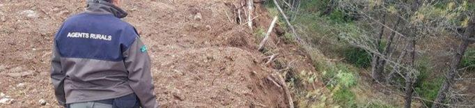 Denunciat per una tala il·legal d'arbres al Pallars Jussà