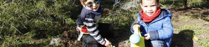 Famílies lleidatanes fan una plantada d'arbres al Turó de Gardeny