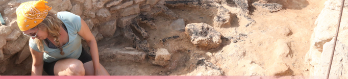 ⏯️ Documenten una estança pertanyent a una torre de la primera edat del ferro al jaciment de Soses