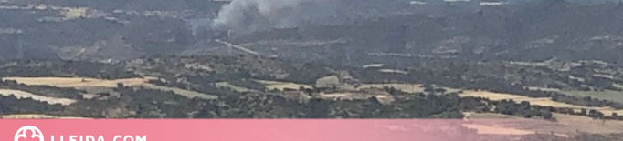 Els Bombers estabilitzen un incendi forestal a la Segarra, que ha afectat cinc hectàrees