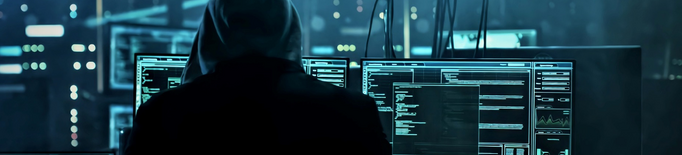 Hacktivisme o com emmascarar la ciberdelinqüència en la xarxa