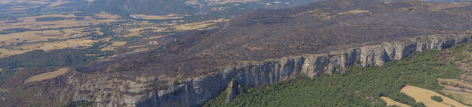 ⏯️ L'incendi de Baldomar, a vista de dron