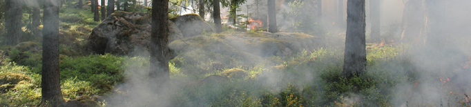 ℹ️ Com evacuar i protegir-se en cas d'incendi