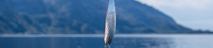 ℹ️ 5 beneficis de consumir peix blau