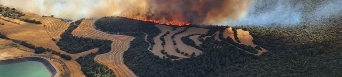 ⏯️ Els bombers remullen la zona de l'incendi a Artesa de Segre, que ha cremat 130 hectàrees