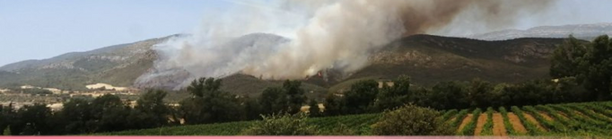 ⏯️ Més de 60 dotacions de bombers treballen en l'extinció d'un incendi a Artesa de Segre