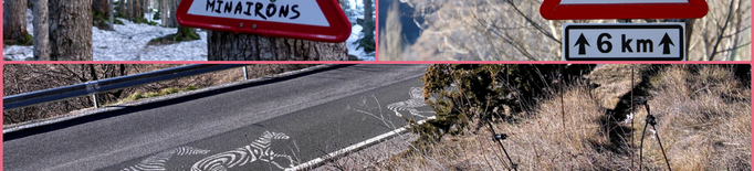 ⏯️ Cérvols voladors o vaques amb paracaigudes com a mostra d'art a les carreteres del Pirineu