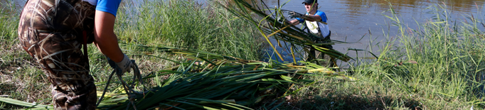 ⏯️ Voluntaris netegen una de les llacunes d'una reserva natural per propiciar la biodiversitat