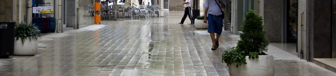 Mollerussa confia solucionar a la tardor els problemes de neteja en alguns carrers de la ciutat