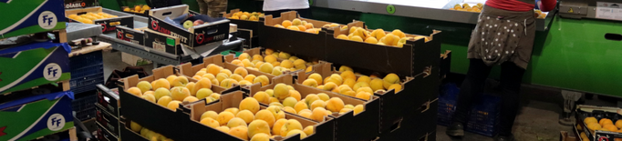 Les empreses fruiteres denuncien un "sobrecost" del fins al 35% en la factura de la llum del juliol
