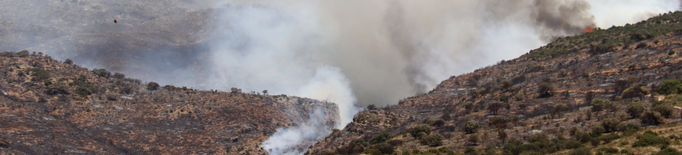 Els Bombers treballen intensament al flanc del foc de Baldomar que ja arriba a Alòs de Balaguer 