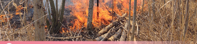 El Pla d'Urgell, dins del llistat de comarques amb "risc molt alt d'incendi" aquest dissabte