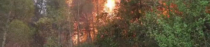 ⏯️ Un incendi forestal entre les Garrigues i el Priorat afecta 3 hectàrees