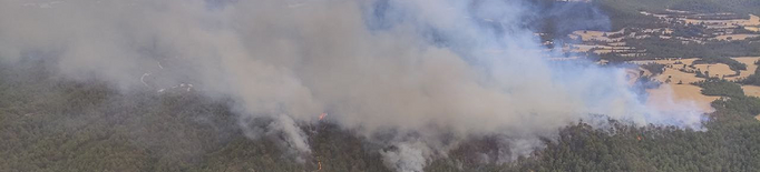 Incendi forestal a l'Alt Urgell