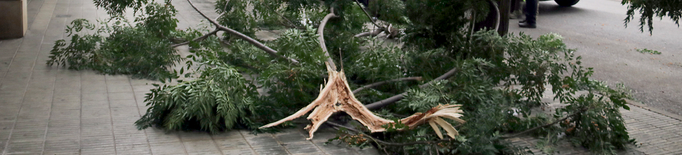 ⏯️ Una tempesta amb fortes ratxes de vent trenca arbres i tomba motocicletes a Lleida