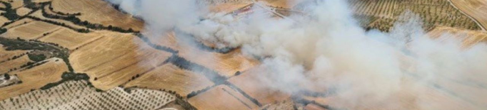 L'incendi agrícola a Arbeca ja afecta unes 25 hectàrees