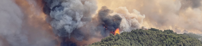 Interior activa un web sobre incendis forestals