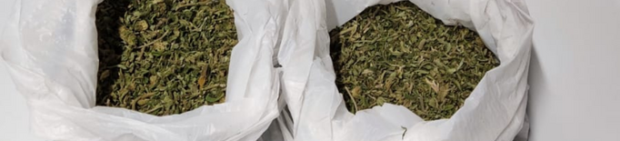 Enxampat amb més de 100 grams de marihuana al Centre Històric de Lleida