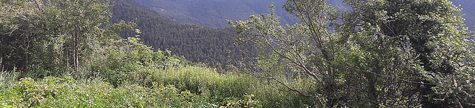 Neix l’Associació de varietats locals de la Cerdanya