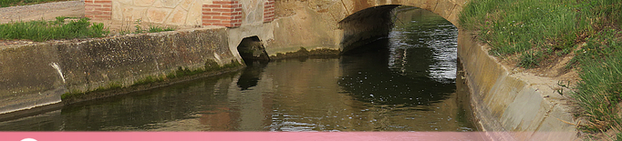 Els Regants dels Canals d'Urgell mostren com seran aquests un cop feta la modernització