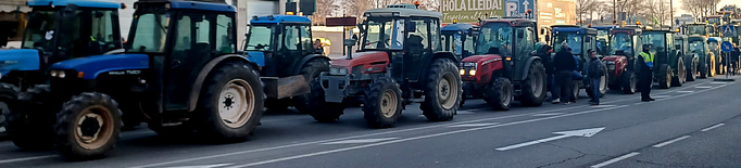 ⏯️ Tractorada a Lleida contra la plaga de conills: "Roseguen el nostre futur i el menjar de tots"