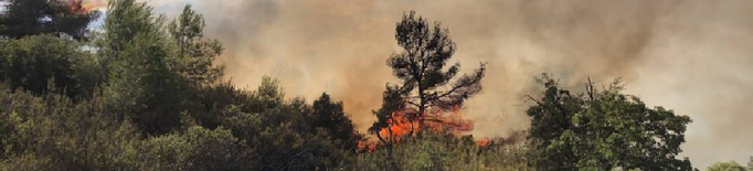 Un incendi forestal crema uns 7.000 metres quadrats a les Garrigues