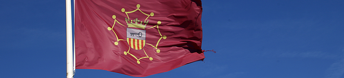 El Govern convoca eleccions al Conselh Generau d'Aran i a les EMD de Catalunya