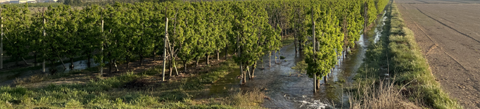 El canal d'Urgell tanca el regadiu amb la incertesa de si es podrà regar abans del setembre