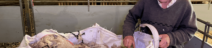 ⏯️ La llana d'ovella, un problema per als ramaders del Pirineu en considerar-se material de rebuig