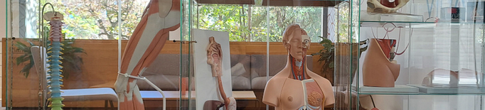 Models anatòmics en préstec a la Biblioteca de Ciències de la Salut de la UdL