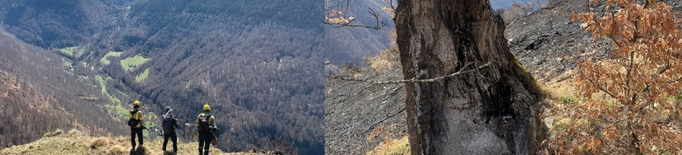 Controlat l'incendi de Canejan, a la Val d'Aran, que ha cremat 335 hectàrees