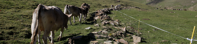 Ramaders del Pallars Sobirà demanen una reunió urgent amb Acció Climàtica per modificar la PAC