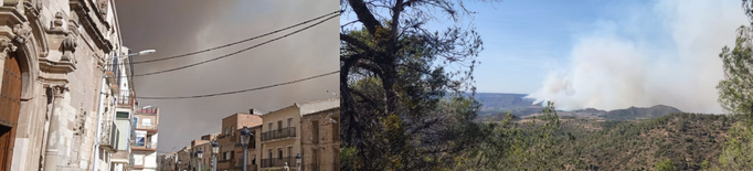 El Segrià Sec reclama gestió forestal per evitar que els incendis "devastin" el territori