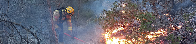 ⏯️ Estabilitzat l'incendi forestal de la Franja