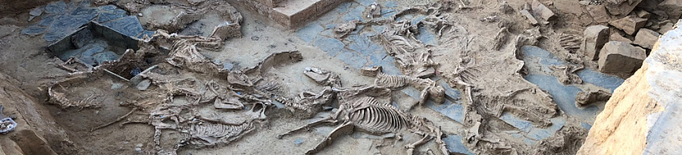 La UdL, al major estudi sobre sacrifici ritual d'animals en l'Edat del Ferro